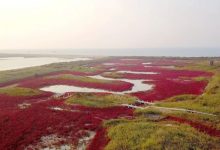 龍口市創(chuàng)新打造河道入海口流域水生態(tài)綜合治理！——龍口網(wǎng)