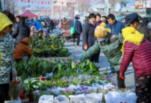 今天，龍口諸由大集正式搬遷！——龍口網