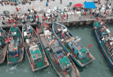 價格降了!龍口海鮮捕撈量增了!趕緊吃起來——龍口網