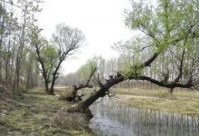 走近龍口這個神秘的洞穴！這些傳說你聽過嗎？——龍口網